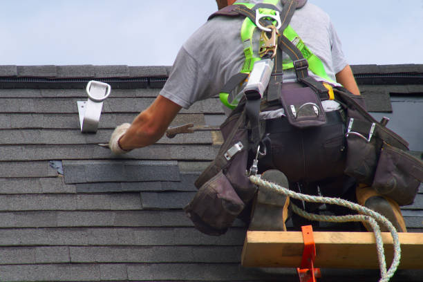 Best Roof Gutter Cleaning  in St James, MD